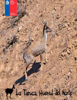 La Taruca. Huemul del Norte