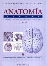Anatomía Humana: Descriptiva, Topográfica y Funcional. Tomo 4 – Henri Rouvière, André Delmas – 11va Edición