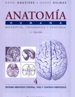 Anatomía Humana: Descriptiva, Topográfica y Funcional. Tomo 4 – Henri Rouvière, André Delmas – 11va Edición