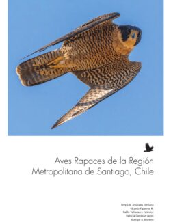 Aves Rapaces de la Región Metropolitana de Santiago, Chile – Sergio A. Alvarado Orellana, Ricardo Figueroa R., Pablo Valladares Faúndez, Patricia Carrasco-Lagos – 1ra Edición