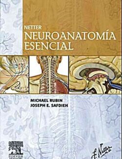 Netter: Neuroanatomía Esencial – Michael Rubin, Joseph E. Safdieh – 1ra Edición