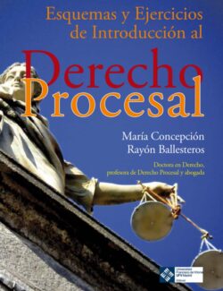 Esquemas y Ejercicios de Introducción al Derecho Procesal – María Concepción Rayón Ballesteros – 1ra Edición