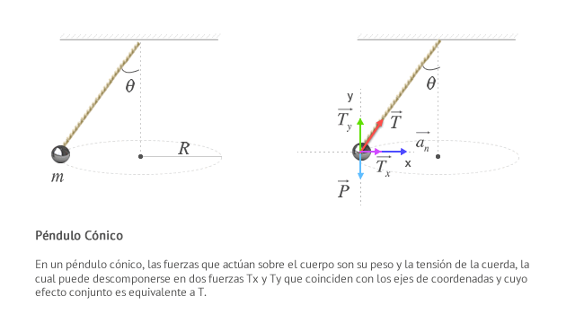 En un péndulo cónico, las fuerzas que actúan sobre el cuerpo son su peso y la tensión de la cuerda, la cual puede descomponerse en dos fuerzas Tx y Ty que coinciden con los ejes de coordenadas y cuyo efecto conjunto es equivalente a T.