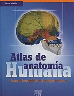 Atlas de Anatomía Humana – Johannes W. Rohen, Chihiro Yokochi, Elke Lütjen-Drecoll – 6ta Edición